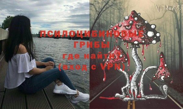 марихуана Медногорск