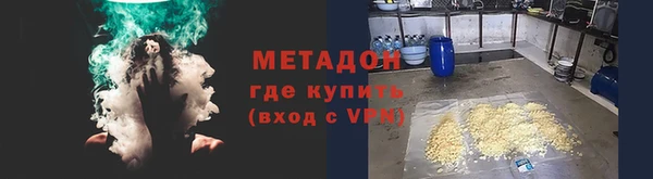 индика Анива