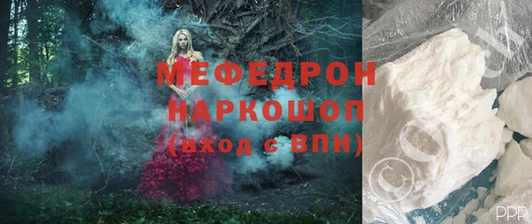 индика Анива