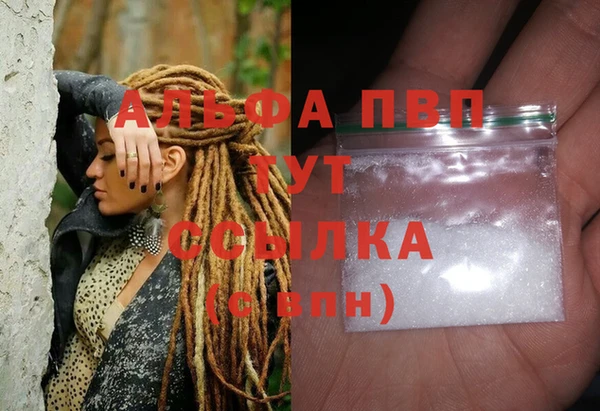 индика Анива