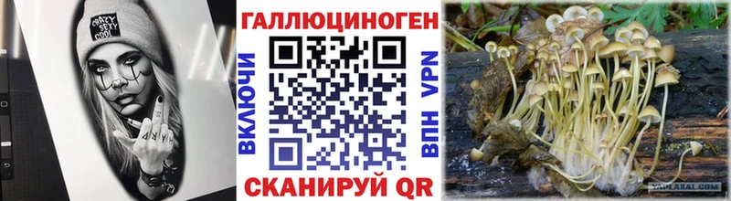 Галлюциногенные грибы GOLDEN TEACHER  купить наркотики цена  Межгорье 